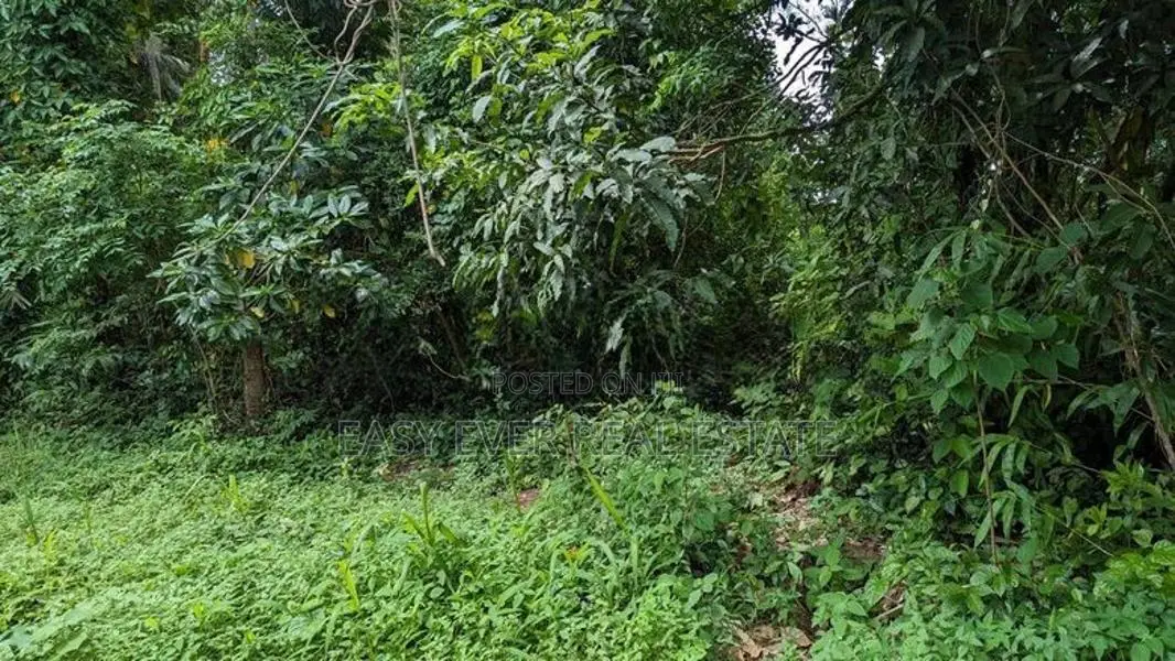 land for sale minuwangoda