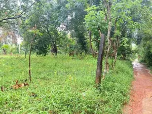 Land for sale in wathupitiwala