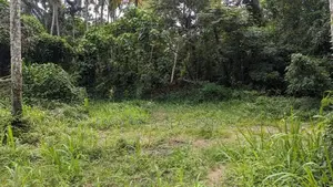 land for sale minuwangoda