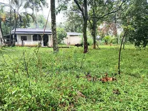 Land for sale in wathupitiwala