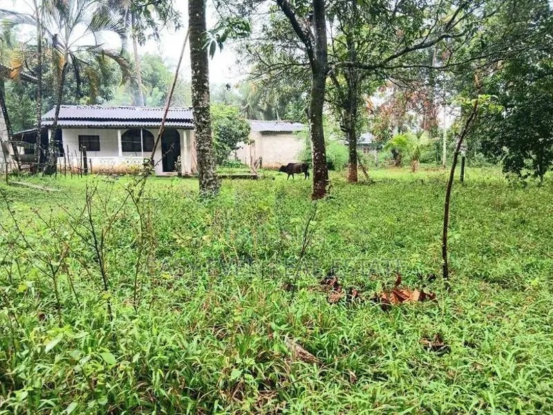 Land for sale in wathupitiwala
