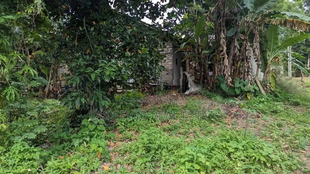 land for sale minuwangoda