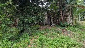 land for sale minuwangoda