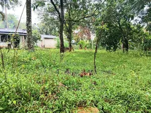 Land for sale in wathupitiwala