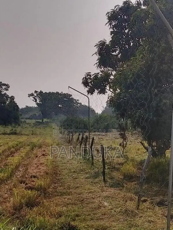 Mango Cultivated Land for Sale in Anuradhapura