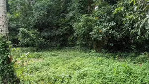 land for sale minuwangoda
