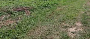 Colombo 5 : 6 perches Land for Sale Lake drive