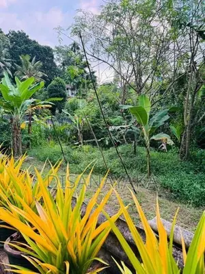 Land for Sale in Rajagiriya DS 15184