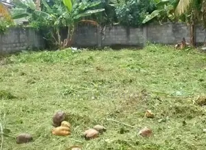 Land in Sale Bokundara Thumbowila Samagi Rd