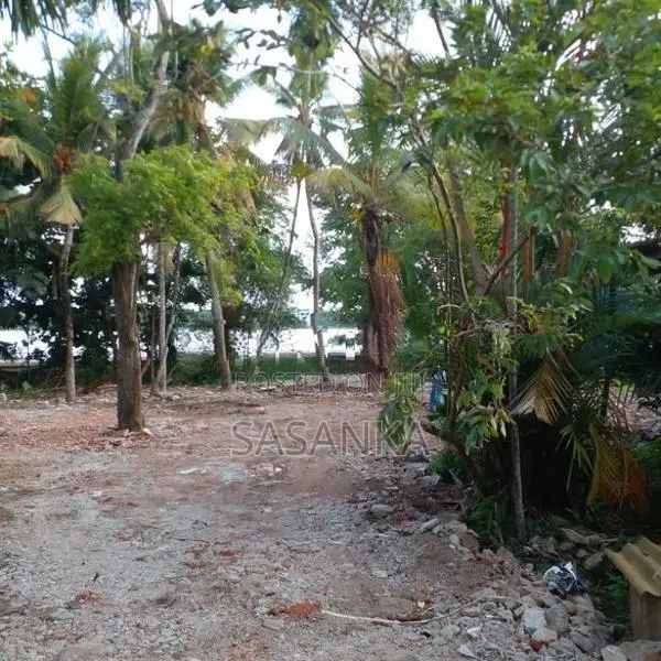 Boralesgamuwa Dehiwala Road 70 Perches Land For Rent