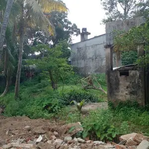Boralesgamuwa Dehiwala Road 70 Perches Land For Rent