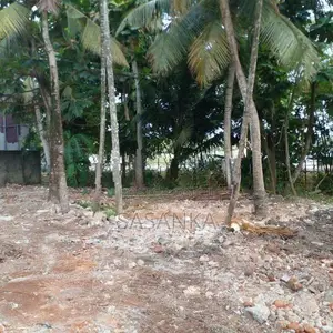 Boralesgamuwa Dehiwala Road 70 Perches Land For Rent
