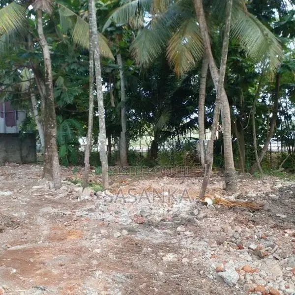 Boralesgamuwa Dehiwala Road 70 Perches Land For Rent