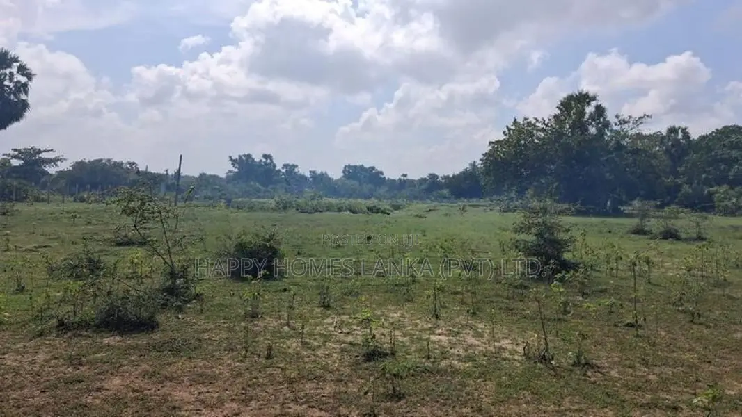L4A004 - Plots for Sale in Kalkudah