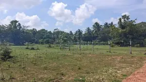 L4A004 - Plots for Sale in Kalkudah