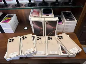 Apple iPhone 16 Pro Max 256GB (Used)
