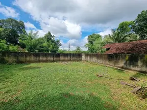 නිට්ටඹුව උදම්මිට ප්‍රදේශයෙන් තැනිතලා ඉඩමක් විකිණීමට