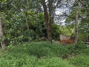 land for sale kurunegala