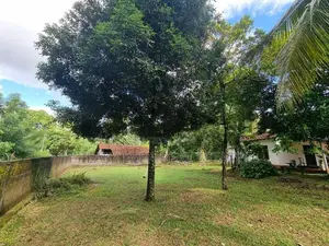 නිට්ටඹුව උදම්මිට ප්‍රදේශයෙන් තැනිතලා ඉඩමක් විකිණීමට
