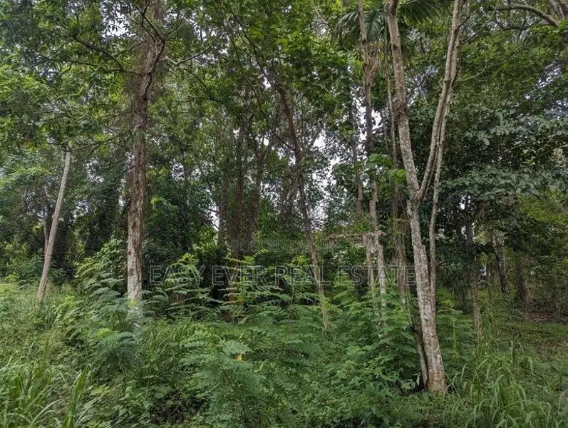 land for sale kurunegala