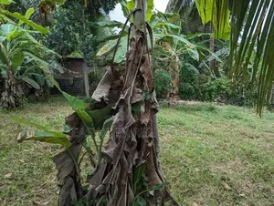 land for sale nittambuwa