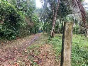 land for sale gampaha
