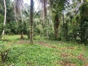 land for sale gampaha