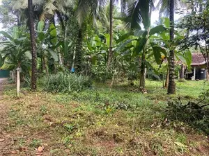 land for sale gampaha