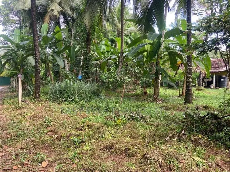 land for sale gampaha