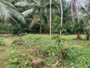 land for sale gampaha