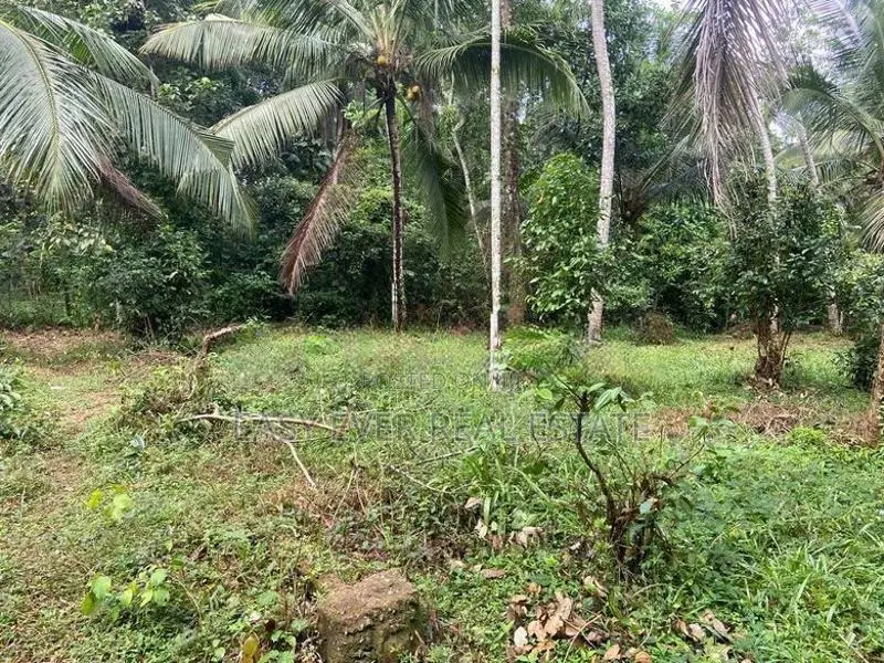 land for sale gampaha