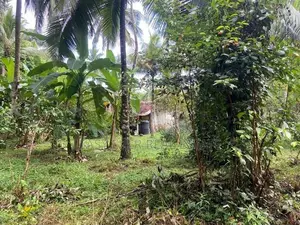 land for sale gampaha