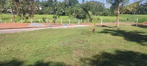හෝමාගම පිටිපන කජු ගහදෙනිය ඉඩමක් ගෙවන්න ගන්න