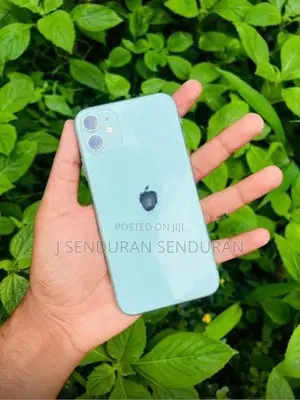 Apple iPhone 11 (Used)