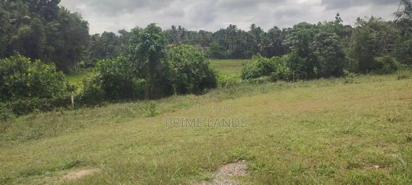 හෝමාගම පිටිපන කජු ගහදෙනිය ඉඩමක් ගෙවන්න ගන්න