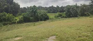 හෝමාගම පිටිපන කජු ගහදෙනිය ඉඩමක් ගෙවන්න ගන්න