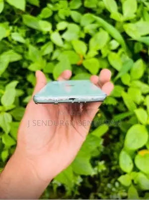 Apple iPhone 11 (Used)
