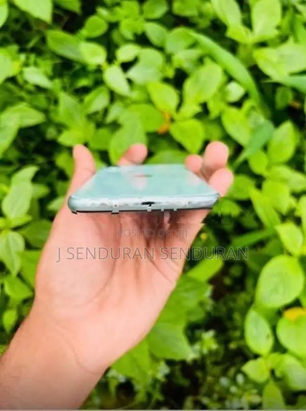 Apple iPhone 11 (Used)
