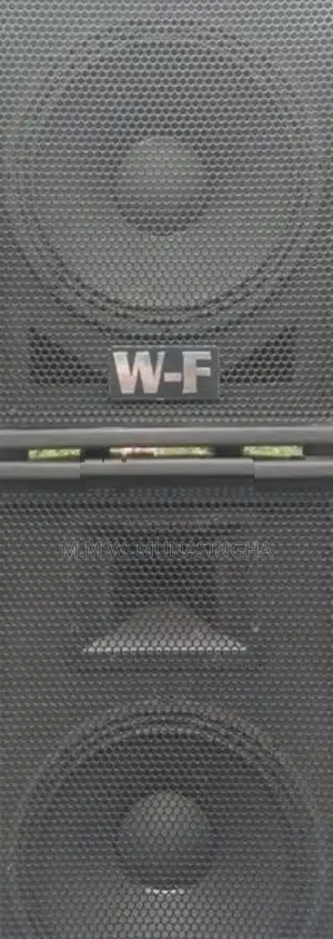 12 Inch Buffal Speakers