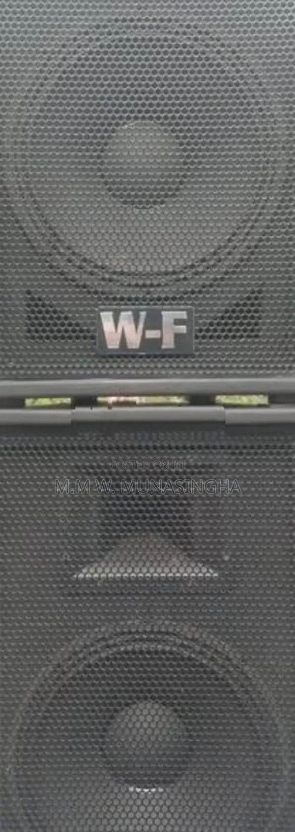 12 Inch Buffal Speakers