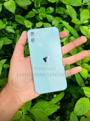 Apple iPhone 11 (Used)