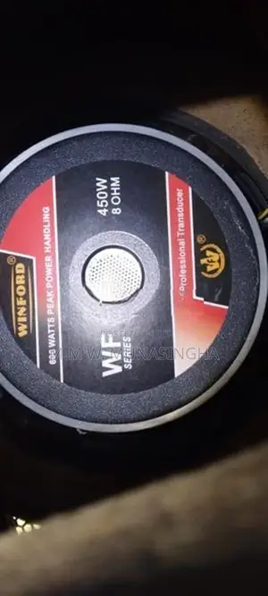 12 Inch Buffal Speakers