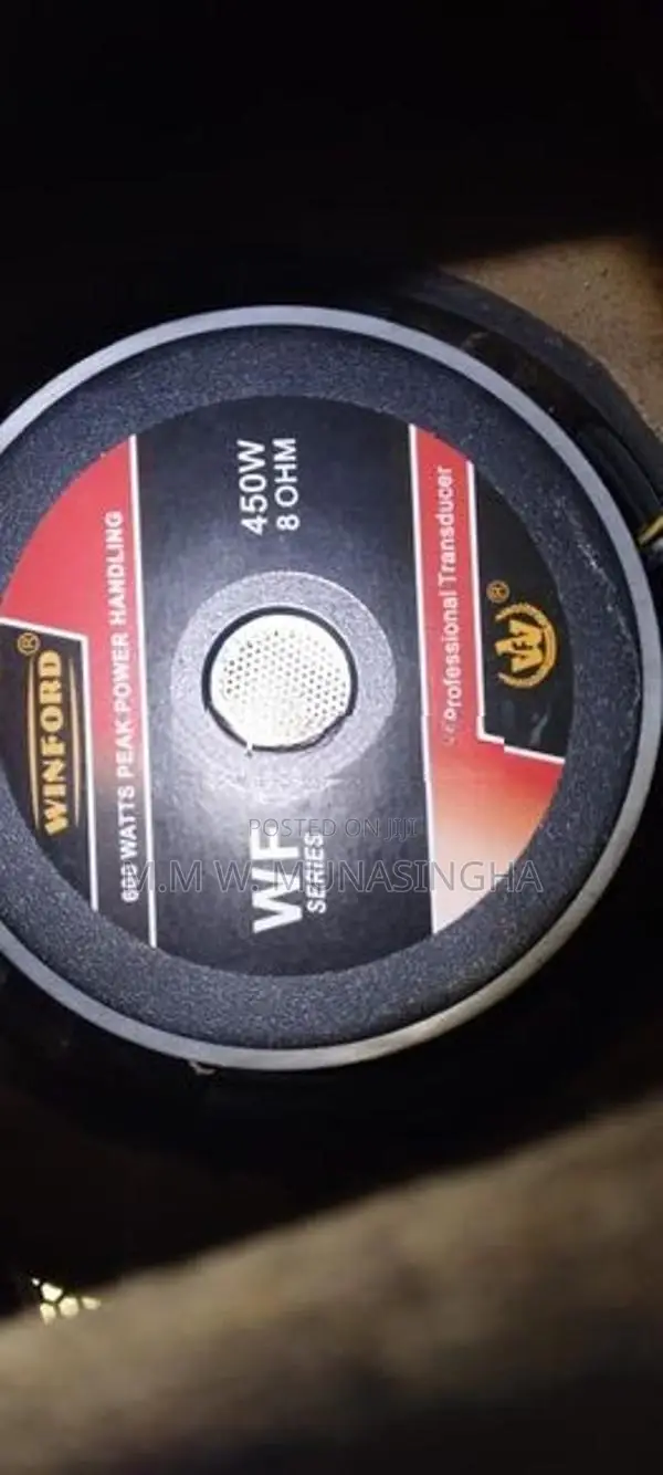 12 Inch Buffal Speakers