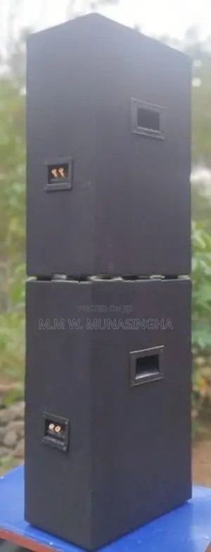 12 Inch Buffal Speakers