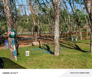 Land for Sale Homagama Beruketiya