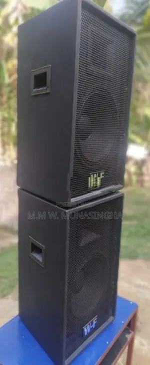 12 Inch Buffal Speakers