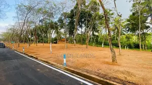 Homagama Beruketiya Land Plots for Sale