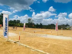 Valuable Land for Sale - Homagama Beruketiya
