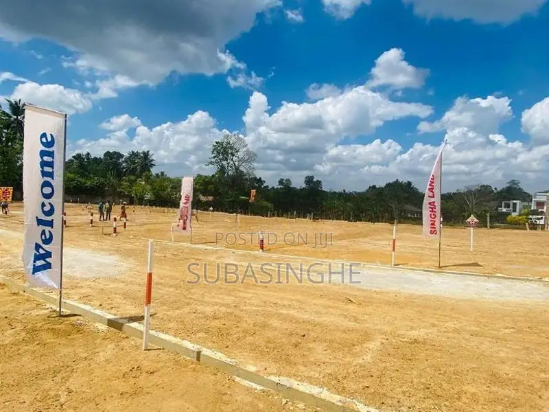 Valuable Land for Sale - Homagama Beruketiya