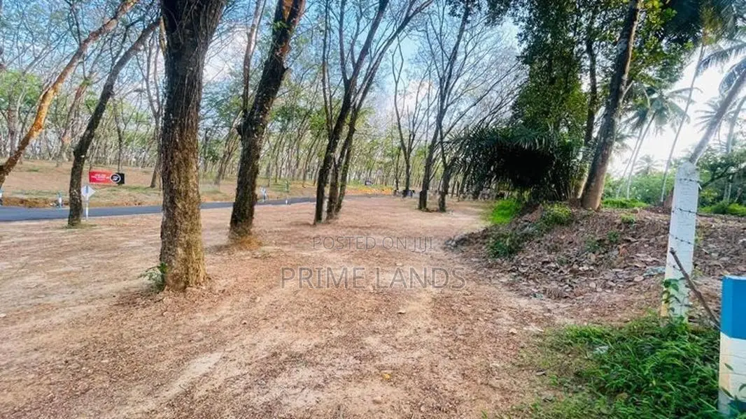 Homagama Beruketiya Land for Sale
